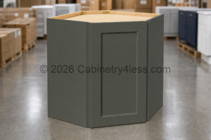 Aston Green Diagonal Corner Wall Single Door 24"W