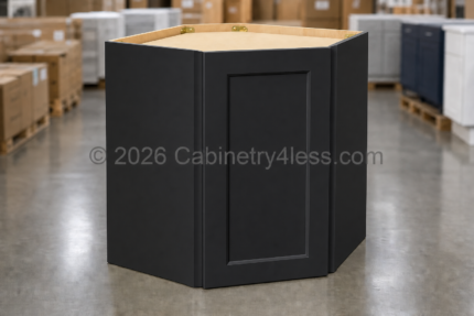 Iron Black Diagonal Corner Wall Single Door 24"W